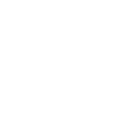 Lady B